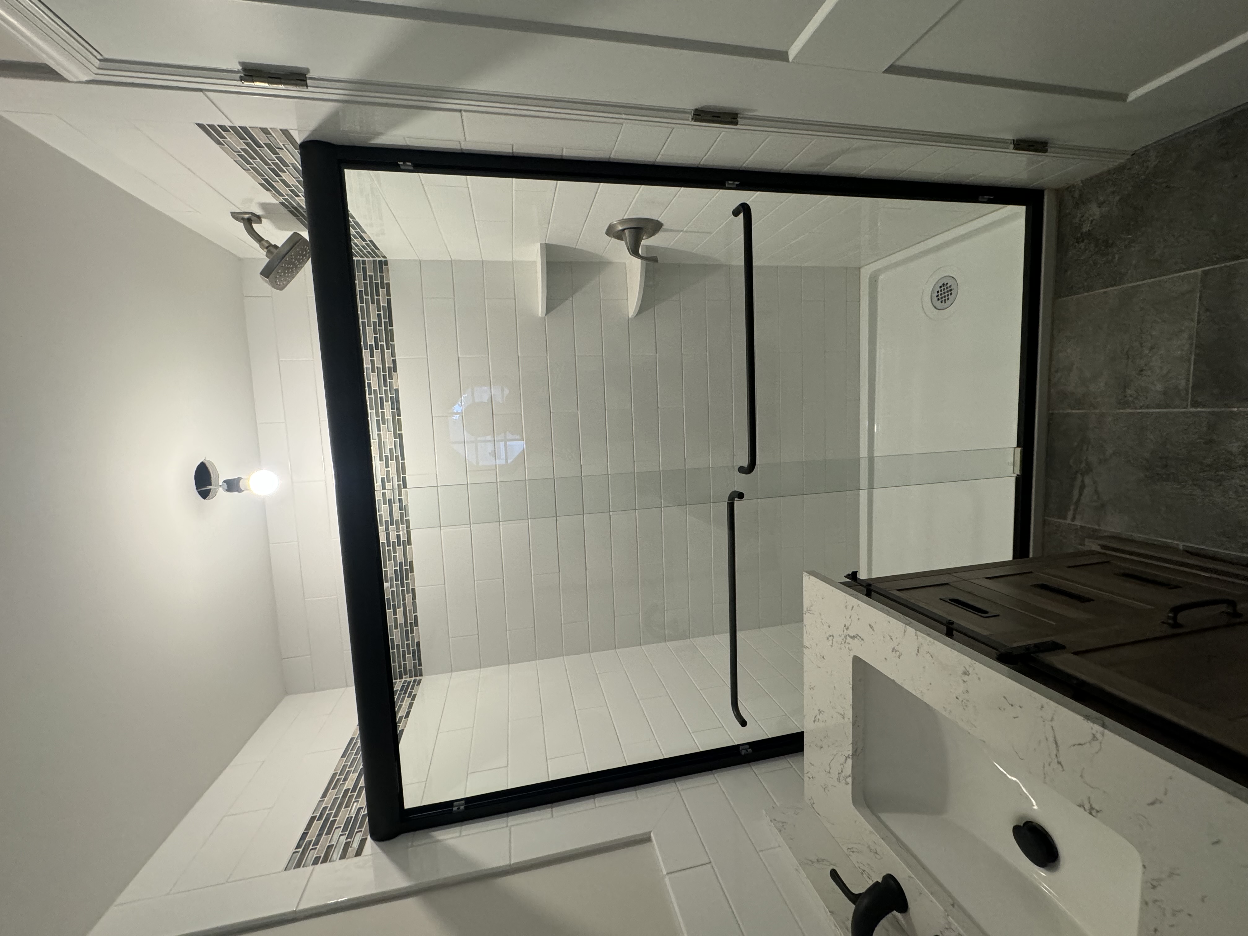 Brushed nickel shower door